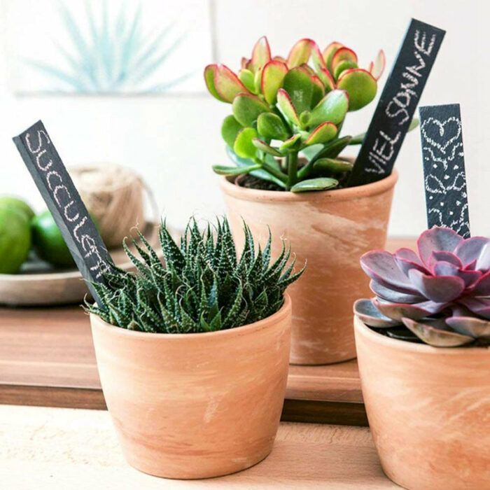 Slate Herb Tags with Soapstone Pencil - Herb Planter Plant Tag Markers Grey Natural Slate Garden Set of 20