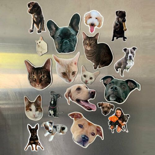 Custom Pet Magnets | Cute Animal Magnets | Decorative Magnets-set of 3-set of 5