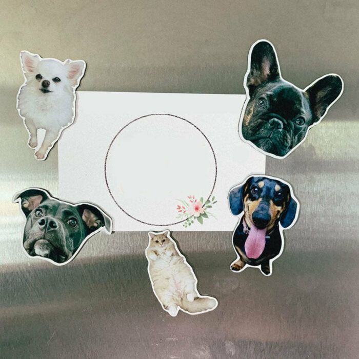 Custom Pet Magnets | Cute Animal Magnets | Decorative Magnets-set of 3-set of 5