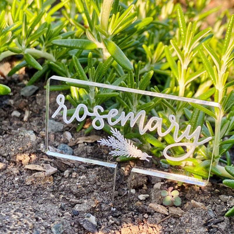 Durable Garden Stakes, Great as Kitchen Herb Signs, Succulent Plant Labels, Small Vegetable Planter Markers, Gift for Gardening Lover