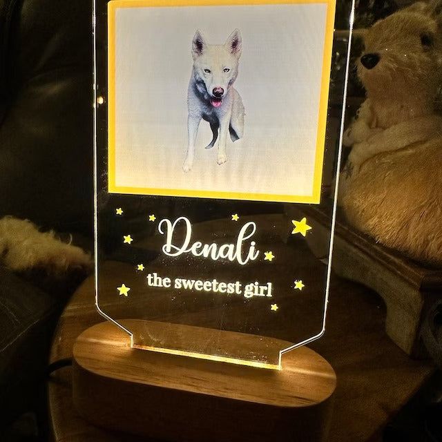 Pet Memorial Custom Photo Lamp as Sympathy Gift for Dog Mom. Dog Portrait Personalized Light Pet Memorial Gift. Custom Lamp Dog Memorial
