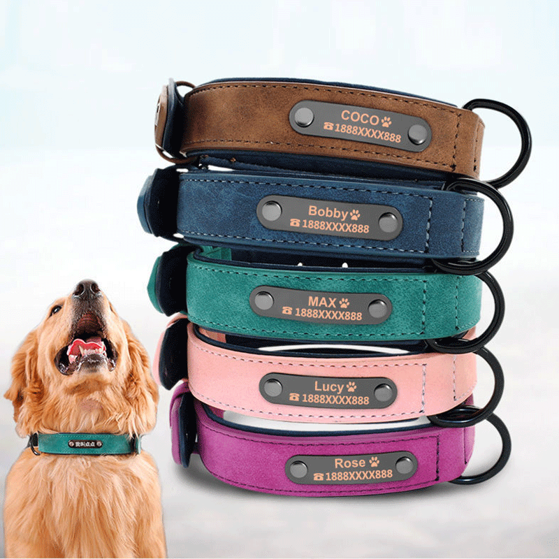 Soft Faux Leather Padded Dog Collar. Personalised Laser Engraved into Metal Buckle
