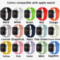 Engraved Watch Band Apple Watch Band 38/40/41/42/44/45/49mm 