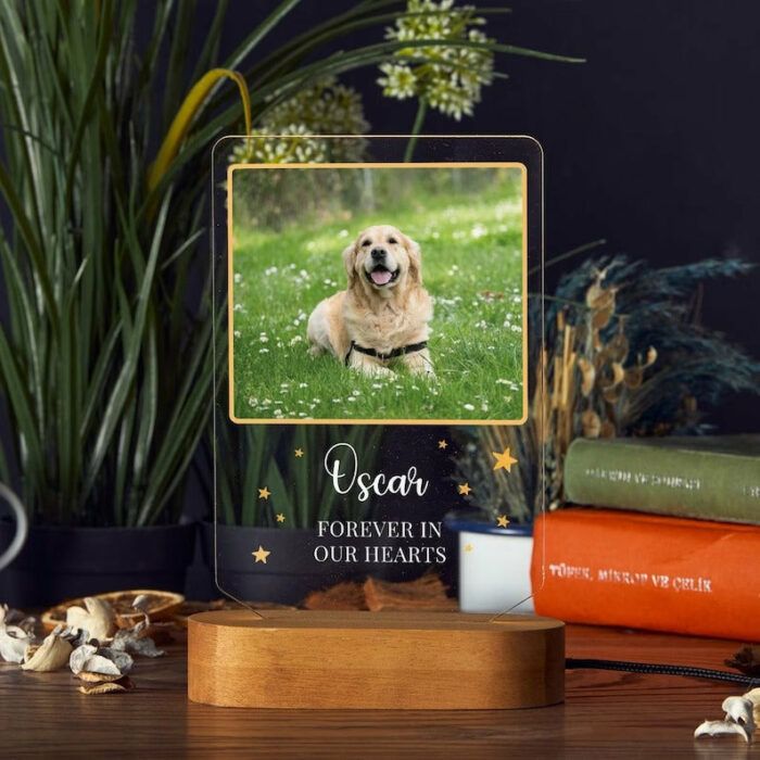 Pet Memorial Custom Photo Lamp as Sympathy Gift for Dog Mom. Dog Portrait Personalized Light Pet Memorial Gift. Custom Lamp Dog Memorial